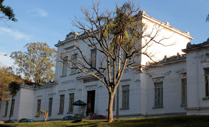 Instituto Butantan