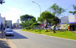 Avenida Engenheiro Caetano Álvares