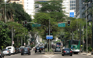 Avenida São Luís