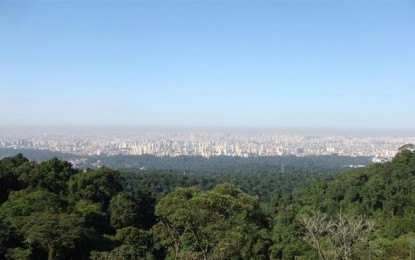 Parque Estadual da Cantareira