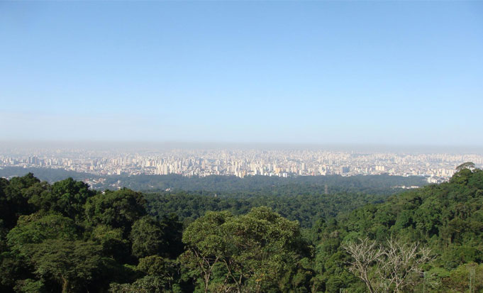 Parque Estadual da Cantareira