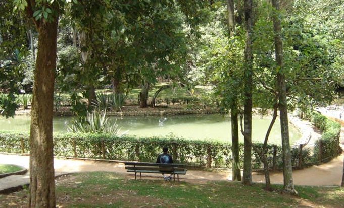 Parque Chico Mendes