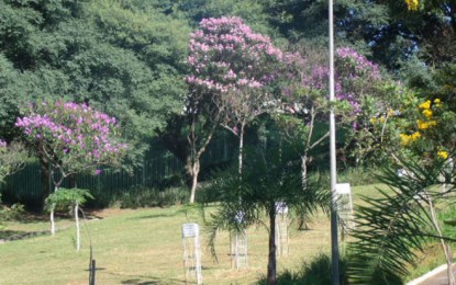 Parque Santa Amélia