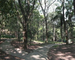 Parque São Domingos