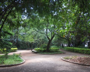 Parque Severo Gomes