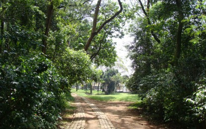 Parque Vila dos Remédios